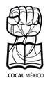 cocalmexico.com.mx